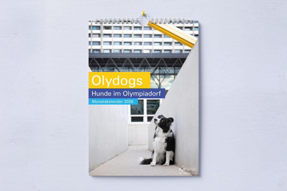 Daniela Schnabel-Sahm, Daniela Schnabel, Fotografie, Olydog, Olydogs, Olympiadorf München, Hunde im Dorf, Hundekalender, Hunde im Olypiadorf