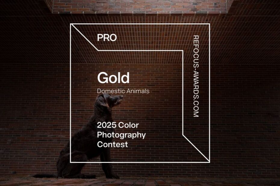 Daniela Schnabel-Sahm, Daniela Schnabel, Fotografie, Hundefotografie, Fotostudio, HUndefotostudio