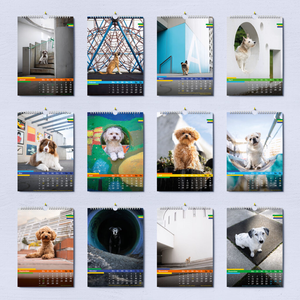 Monatskalender Olydogs, HUndefotokalender Olympiadorf München, Hunde in historischer Architektur
